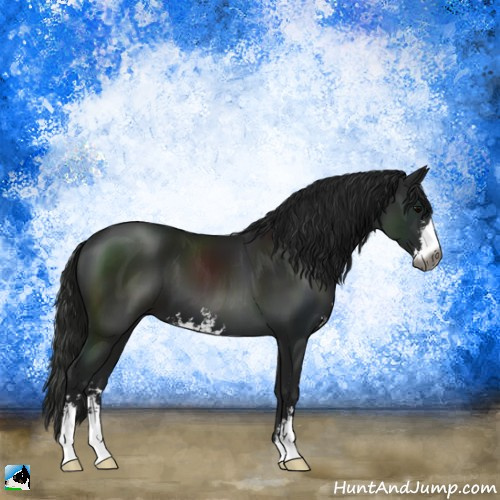 Horse Color:Gray Black Sabino 