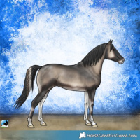 Horse Color:Blue Onyx 