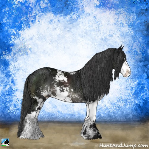Horse Color:Black Ice Sabino Rabicano 
