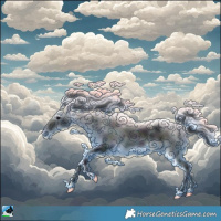 Horse Color:Midnight Black