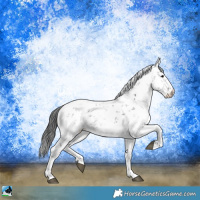 Horse Color:Black Ice Sabino Rabicano 
