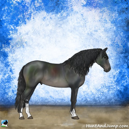 Horse Color:Black Sabino 