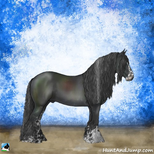 Horse Color:Black Sabino Rabicano 