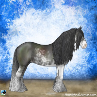 Horse Color:Black Sabino