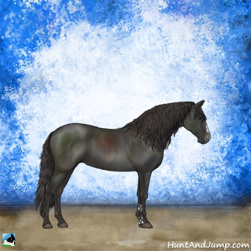 Horse Color:Smoky Black Sabino