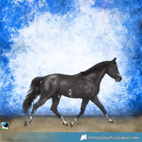 Horse Color:Smoky Black Sabino 
