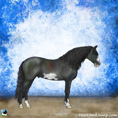 Horse Color:Black Frame 