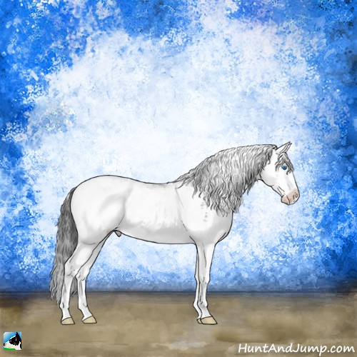 Horse Color:Black Sabino Splash 