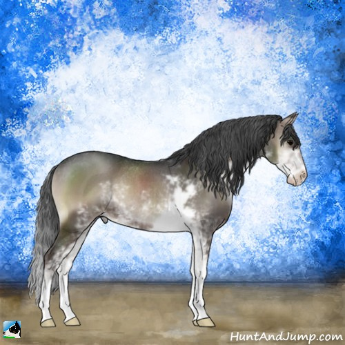 Horse Color:Blue Onyx Sabino Rabicano 
