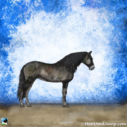 Horse Color:Blue Onyx Ice Mushroom Rabicano