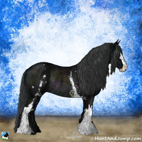 Horse Color:White Spotted Midnight Black Sabino Rabicano 