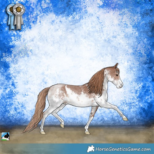 Horse Color:White Spotted Chestnut Sabino Rabicano 