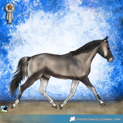 Horse Color:Blue Onyx Rabicano 