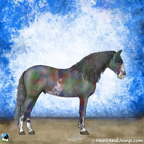 Horse Color:Nacre Black Sabino Rabicano 