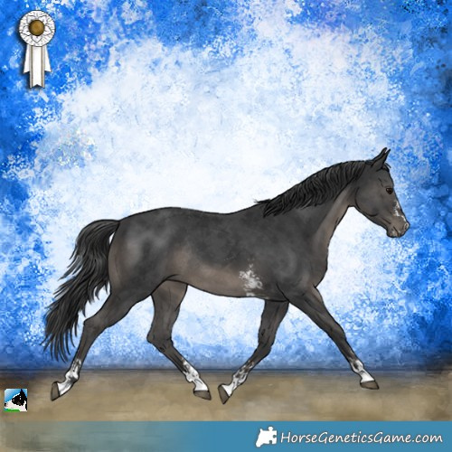 Horse Color:Black Sabino Rabicano 