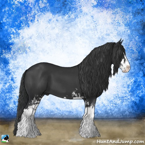Horse Color:Black Sabino 