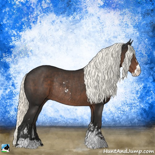 Horse Color:Liver Chestnut Mushroom Sabino Rabicano 