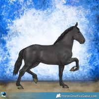 Horse Color:Black Mushroom 