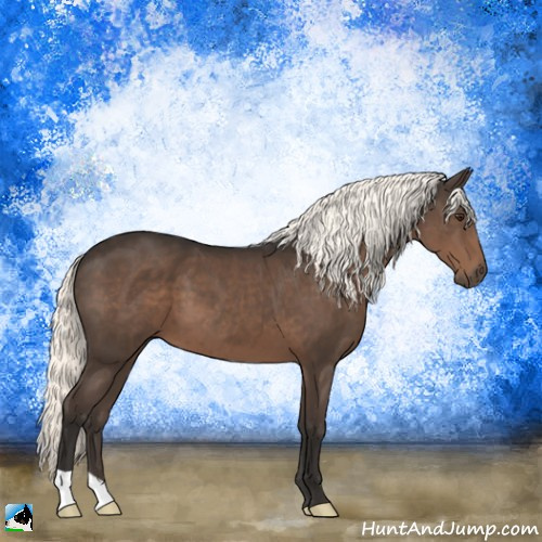 Horse Color:Liver Chestnut Mushroom 
