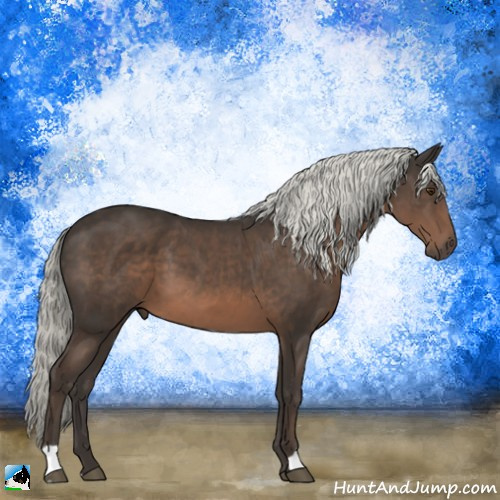 Horse Color:Liver Chestnut Mushroom 