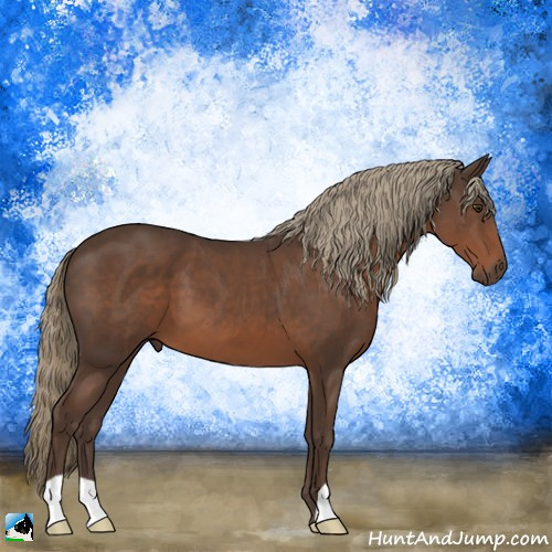 Horse Color:Liver Chestnut Mushroom 