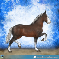 Horse Color:Liver Chestnut Mushroom Sabino 
