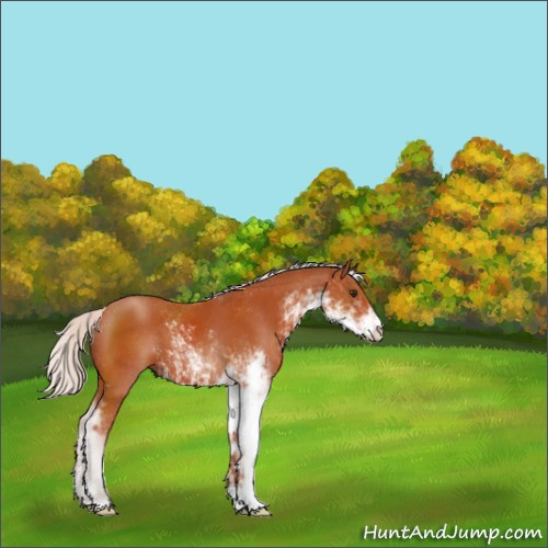 Horse Color:Silver Brown Sabino 