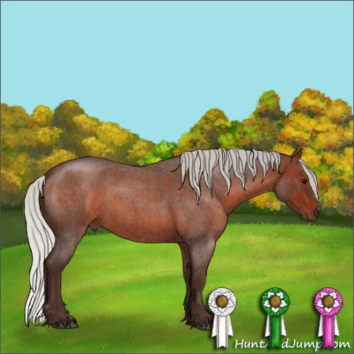 Horse Color:Silver Brown Roan Sabino 