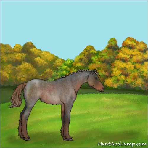 Horse Color:Liver Red Roan 