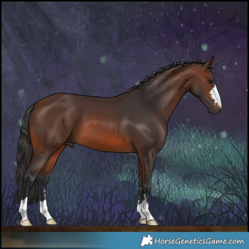 Horse Color:Brown 