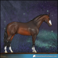 Horse Color:Brown 