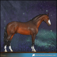 Horse Color:Brown 