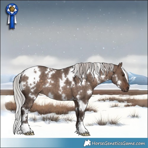 Horse Color:White Spotted Silver Brown Dun Mushroom 