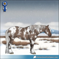 Horse Color:White Spotted Silver Brown Dun Mushroom 