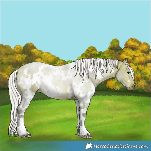 Horse Color:Watercolor White Spotted Silver Bay 