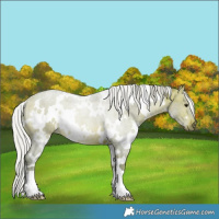 Horse Color:Watercolor White Spotted Silver Bay 