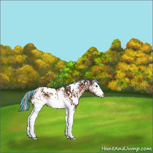 Horse Color:Painted White Spotted Silver Brown Appaloosa 
