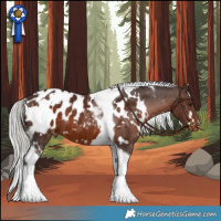 Horse Color:White Spotted Silver Brown Tobiano Appaloosa 