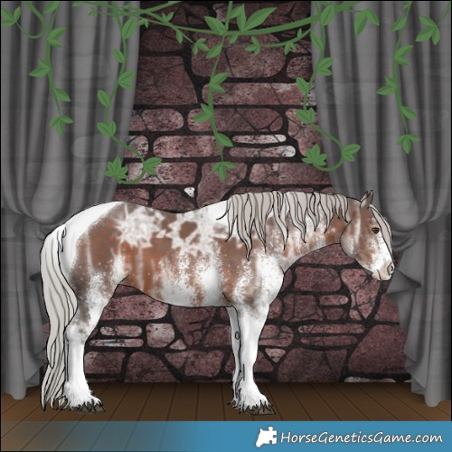 Horse Color:White Spotted Silver Brown Ice Tobiano 