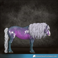 Horse Color:Watercolor White Spotted Silver Brown Splash Rabicano
