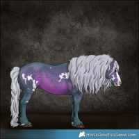Horse Color:Watercolor White Spotted Silver Brown Splash Rabicano 