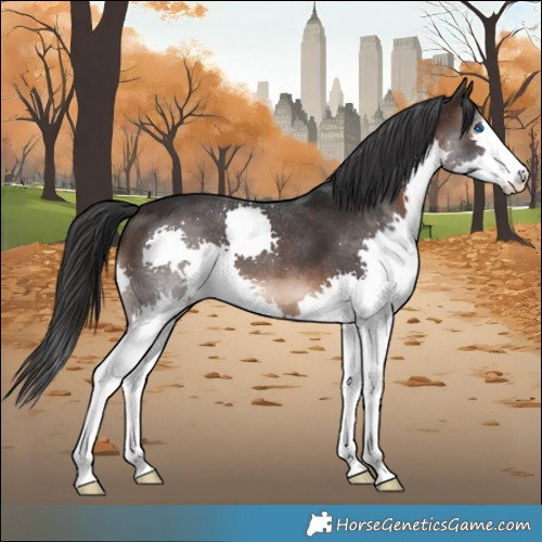 Horse Color:Brown Splash