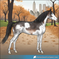 Horse Color:Brown Splash
