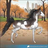 Horse Color:Brown Splash 