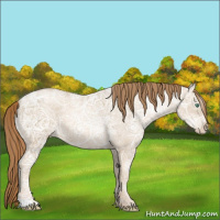 Horse Color:Smoky Blue Ice Roan Pearl Rabicano