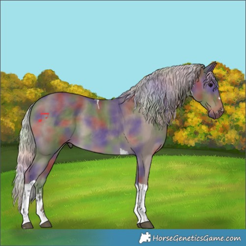 Horse Color:Nacre Silver Black Tobiano 