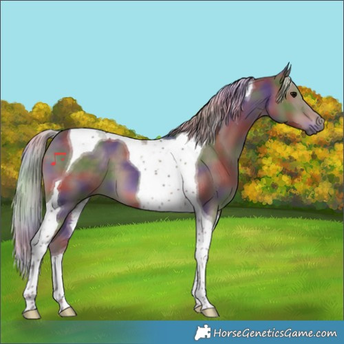 Horse Color:Nacre Silver Black Tobiano 