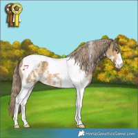 Horse Color:Chocolate Palomino Dun Mushroom Sabino Tobiano 