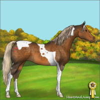 Horse Color:Chocolate Palomino Tobiano