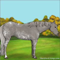 Horse Color:Silver Black Ice Sabino